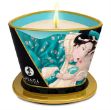 Image de SHUNGA CHANDELLE A MASSAGE FLEURS DE ILES