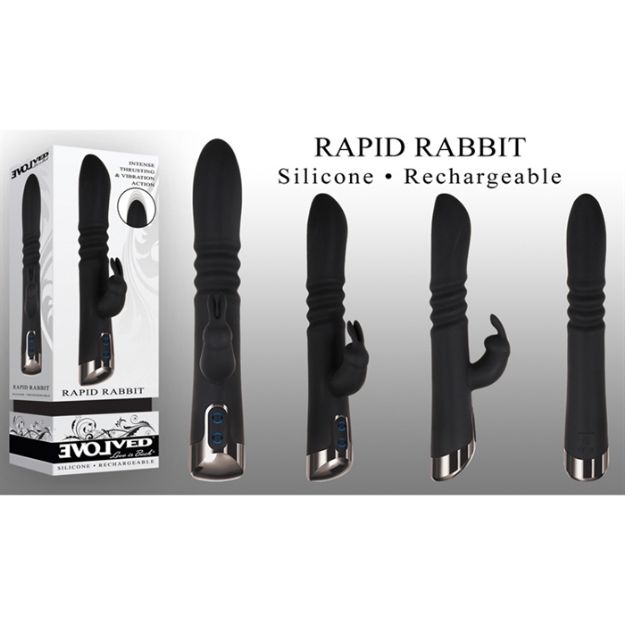 Image de Rapid Rabbit