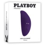 Image de Playboy - Our Little Secret