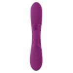 Image de Busy Bunny - Wild Aster