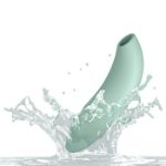 Image de We-Vibe Melt 2 Sage